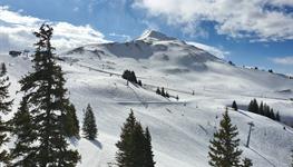 ALPBACH/Reith 2022 - lyžování v Tyrolských Alpách