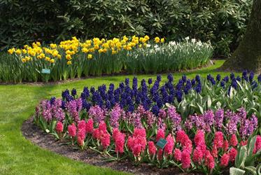 Holandsko, Velikonoce v zemi tulipánů s ubytováním v Rotterdamu 2023