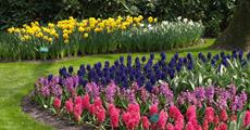 Holandsko, Velikonoce v zemi tulipánů s ubytováním v Rotterdamu 2022