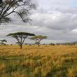 Velký safari okruh v Keni ***+