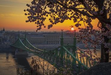 Budapešť a její blízké okolí v době květu sakur