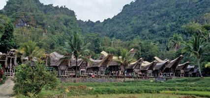 Indonéské kontrasty - Bali a země Torajů