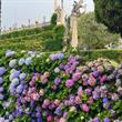 Švýcarští velikáni a nejkrásnější zahrady u Lago Maggiore ***