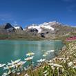 Švýcarsko - Italské Alpy - Bernina Express a Passo Tonale ***