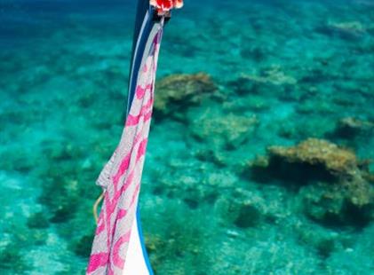 Cejlon - tropický ráj zvířat s plavbou na Maledivách