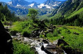 Alpy pro seniory - nádherná příroda Tyrolských Alp