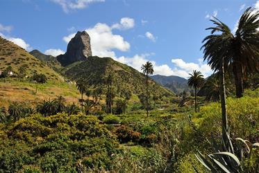 Pohodový týden - Perly Kanárských ostrovů - La Gomera a La Palma