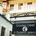 Hotel U Zlatého jelena