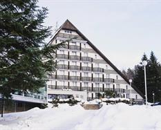 Ski hotel Vysočina ***