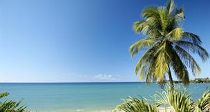 Hotel Starfish, Tobago, Amaryllis Beach Resort, Sainte Anne Hastings