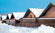 Alpine Smart Residence