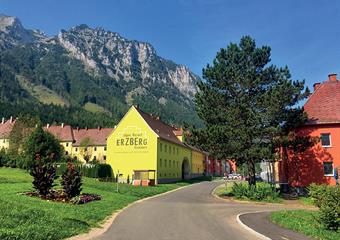 Alpin Resort Erzberg bez stravy
