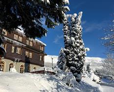 Alpský Hotel ***