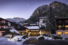 Hotel Regina delle Dolomiti - Panchia