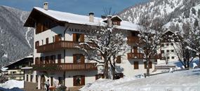 Hotel Stella Alpina - Bellamonte